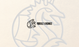 Mobile_Vikings_Case